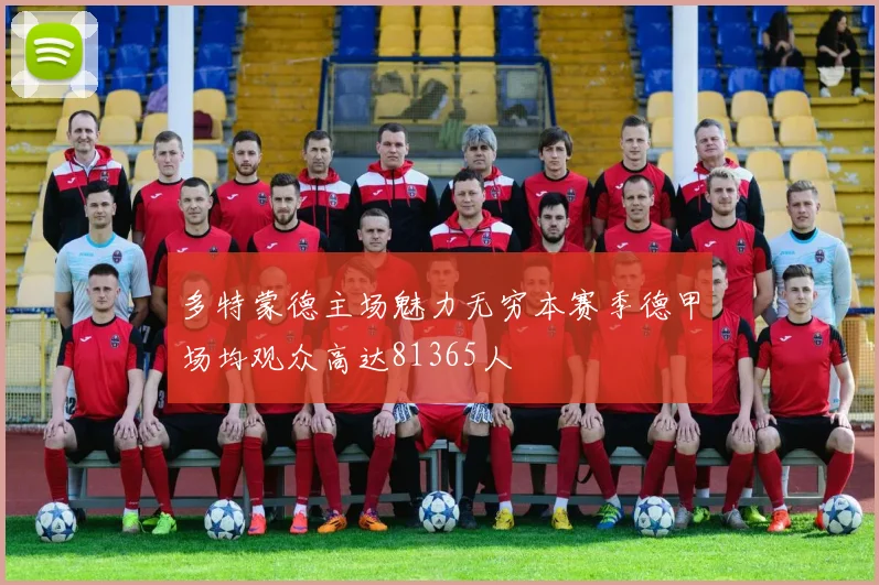 多特蒙德主场魅力无穷本赛季德甲场均观众高达81365人